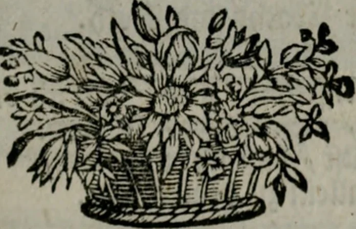 An illustration from Die ihren Gott liebende Seele, vorgestellt in den Sinnbildern des Hermanni Hugonis über seine Pia desideria, und des Ottonis Vaenii, über die Liebe Gottes, mit neuen Kupffern und Versen, welche zielen auf das innere Christenthum, aus dem Frantzösischen ins Teutsche übersetzt, 1743, leaf 66