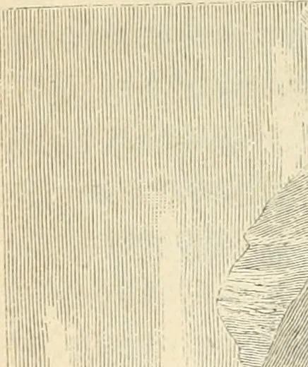 An illustration from Die kaiserlichen Burgen und Schlösser in Bild und Wort. Auf Grund von Quellenwerken dargestellt, 1880, leaf 456