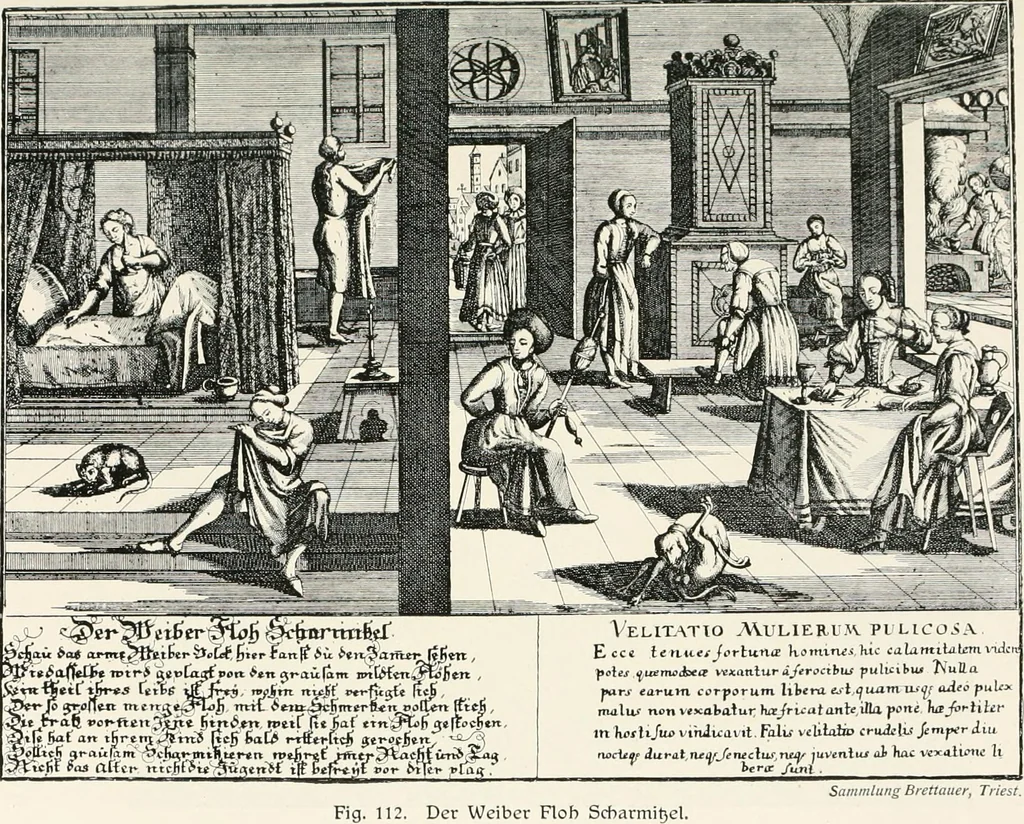 An illustration from Die Karikatur und Satire in der Medizin : mediko-kunsthistorische Studie, 1921, leaf 250