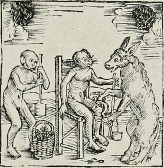 An illustration from Die Karikatur und Satire in der Medizin : mediko-kunsthistorische Studie, 1921, leaf 296