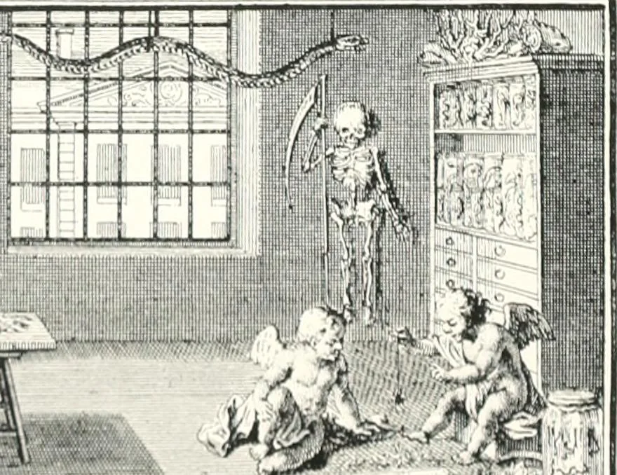 An illustration from Die Karikatur und Satire in der Medizin : mediko-kunsthistorische Studie, 1921, leaf 31