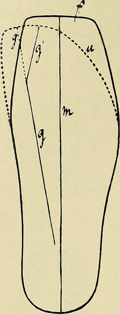 An illustration from Die Kultur des weiblichen Körpers als Grundlage der Frauenkleidung, 1902, leaf 139