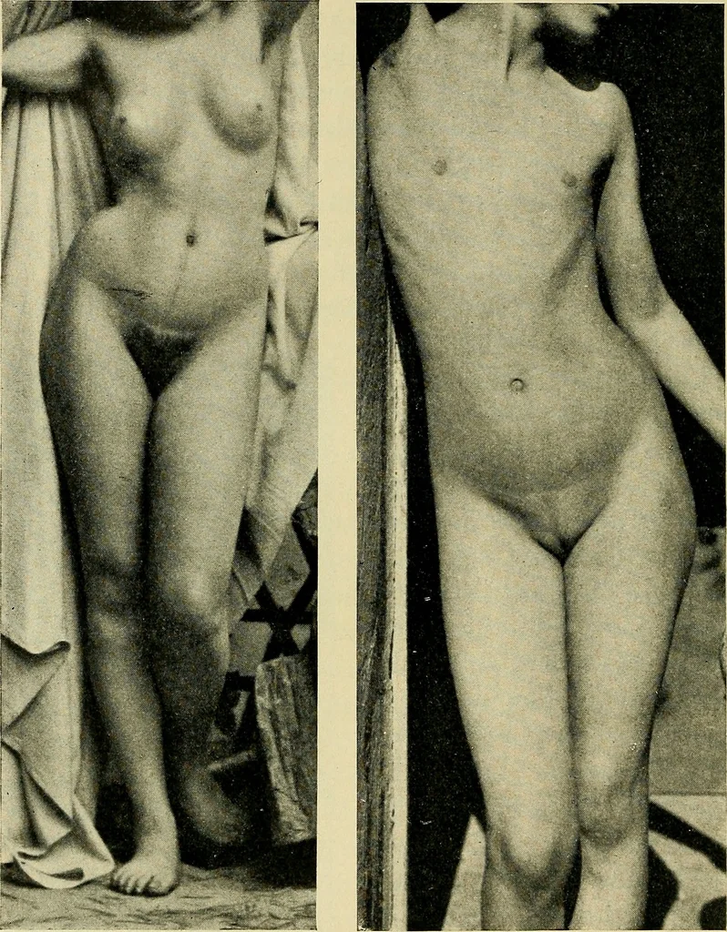 An illustration from Die Kultur des weiblichen Körpers als Grundlage der Frauenkleidung, 1902, leaf 23