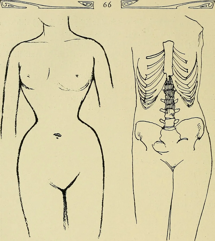 An illustration from Die Kultur des weiblichen Körpers als Grundlage der Frauenkleidung, 1902, leaf 67
