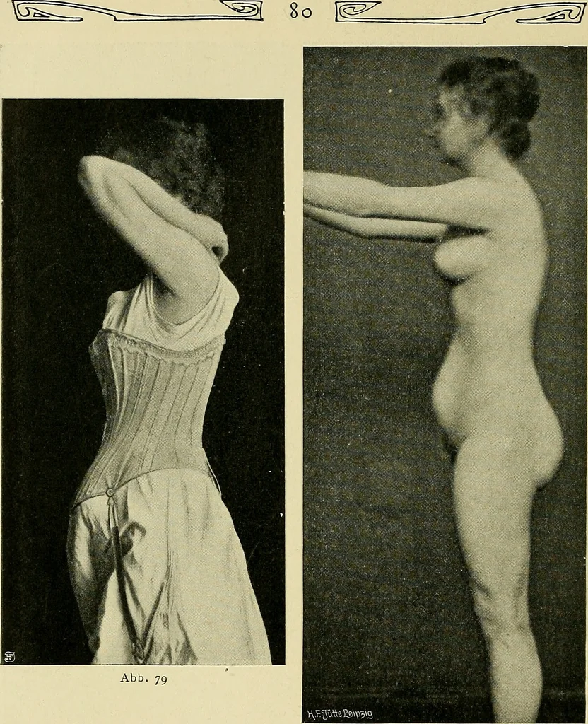 An illustration from Die Kultur des weiblichen Körpers als Grundlage der Frauenkleidung, 1902, leaf 81