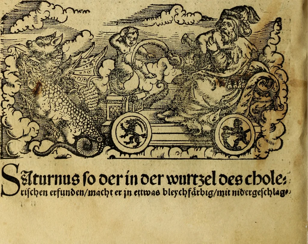 An illustration from Die Kunst der Chiromantzey : vsz Besehung der Hend. Physiognomey / vsz Anblick des Menschens. Natürlichen Astrologey noch dem Lauff der Soñen. Complexion eins yegklichen Menschens. Natürlichen Ynflüssz der Planeten. der zwolff Zeichen Angesychten. Ettliche Canones / zu Erkantnüsz der Menschen Kranckheiten / solicher weisz vormals nye beschriben oder gedruckt. Zusamen verordnet / vnd verteütscht durch ..., 1523, leaf 131