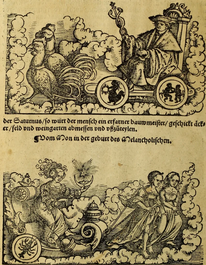 An illustration from Die Kunst der Chiromantzey : vsz Besehung der Hend. Physiognomey / vsz Anblick des Menschens. Natürlichen Astrologey noch dem Lauff der Soñen. Complexion eins yegklichen Menschens. Natürlichen Ynflüssz der Planeten. der zwolff Zeichen Angesychten. Ettliche Canones / zu Erkantnüsz der Menschen Kranckheiten / solicher weisz vormals nye beschriben oder gedruckt. Zusamen verordnet / vnd verteütscht durch ..., 1523, leaf 141