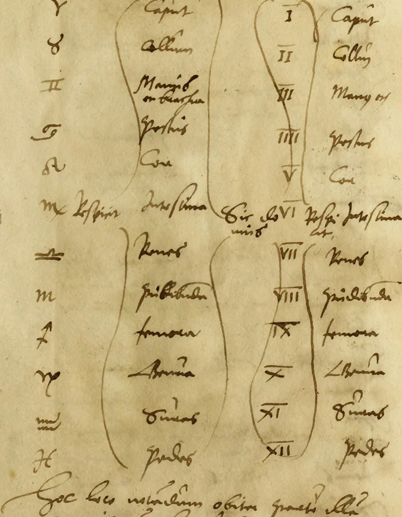 An illustration from Die Kunst der Chiromantzey : vsz Besehung der Hend. Physiognomey / vsz Anblick des Menschens. Natürlichen Astrologey noch dem Lauff der Soñen. Complexion eins yegklichen Menschens. Natürlichen Ynflüssz der Planeten. der zwolff Zeichen Angesychten. Ettliche Canones / zu Erkantnüsz der Menschen Kranckheiten / solicher weisz vormals nye beschriben oder gedruckt. Zusamen verordnet / vnd verteütscht durch ..., 1523, leaf 152