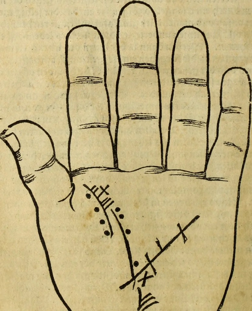 An illustration from Die Kunst der Chiromantzey : vsz Besehung der Hend. Physiognomey / vsz Anblick des Menschens. Natürlichen Astrologey noch dem Lauff der Soñen. Complexion eins yegklichen Menschens. Natürlichen Ynflüssz der Planeten. der zwolff Zeichen Angesychten. Ettliche Canones / zu Erkantnüsz der Menschen Kranckheiten / solicher weisz vormals nye beschriben oder gedruckt. Zusamen verordnet / vnd verteütscht durch ..., 1523, leaf 21