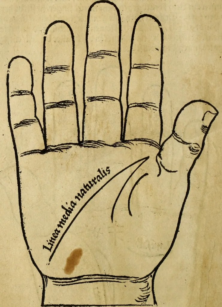 An illustration from Die Kunst der Chiromantzey : vsz Besehung der Hend. Physiognomey / vsz Anblick des Menschens. Natürlichen Astrologey noch dem Lauff der Soñen. Complexion eins yegklichen Menschens. Natürlichen Ynflüssz der Planeten. der zwolff Zeichen Angesychten. Ettliche Canones / zu Erkantnüsz der Menschen Kranckheiten / solicher weisz vormals nye beschriben oder gedruckt. Zusamen verordnet / vnd verteütscht durch ..., 1523, leaf 25