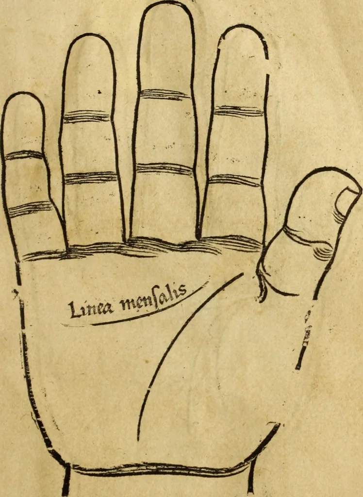 An illustration from Die Kunst der Chiromantzey : vsz Besehung der Hend. Physiognomey / vsz Anblick des Menschens. Natürlichen Astrologey noch dem Lauff der Soñen. Complexion eins yegklichen Menschens. Natürlichen Ynflüssz der Planeten. der zwolff Zeichen Angesychten. Ettliche Canones / zu Erkantnüsz der Menschen Kranckheiten / solicher weisz vormals nye beschriben oder gedruckt. Zusamen verordnet / vnd verteütscht durch ..., 1523, leaf 32