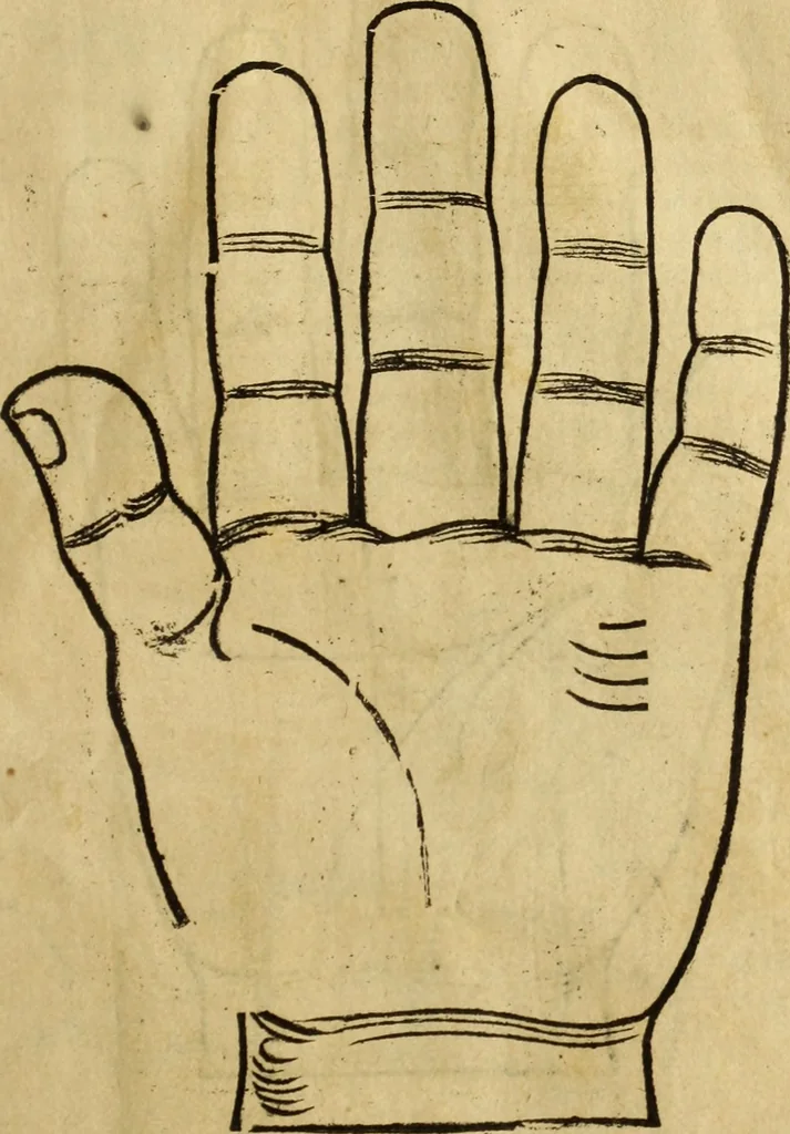 An illustration from Die Kunst der Chiromantzey : vsz Besehung der Hend. Physiognomey / vsz Anblick des Menschens. Natürlichen Astrologey noch dem Lauff der Soñen. Complexion eins yegklichen Menschens. Natürlichen Ynflüssz der Planeten. der zwolff Zeichen Angesychten. Ettliche Canones / zu Erkantnüsz der Menschen Kranckheiten / solicher weisz vormals nye beschriben oder gedruckt. Zusamen verordnet / vnd verteütscht durch ..., 1523, leaf 34