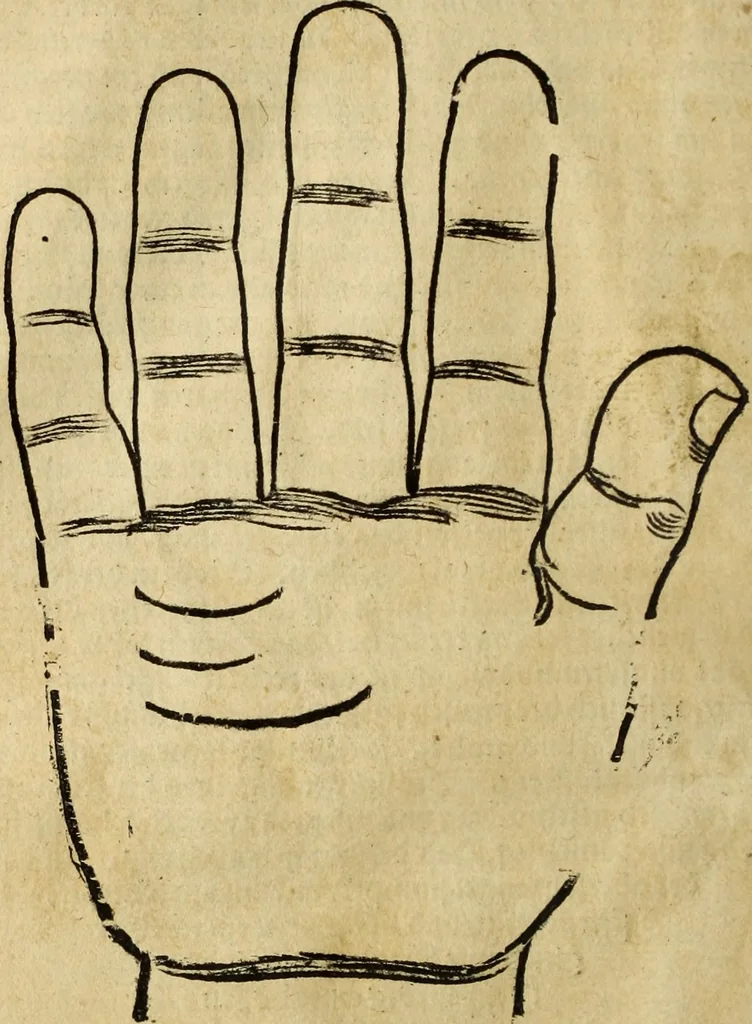 An illustration from Die Kunst der Chiromantzey : vsz Besehung der Hend. Physiognomey / vsz Anblick des Menschens. Natürlichen Astrologey noch dem Lauff der Soñen. Complexion eins yegklichen Menschens. Natürlichen Ynflüssz der Planeten. der zwolff Zeichen Angesychten. Ettliche Canones / zu Erkantnüsz der Menschen Kranckheiten / solicher weisz vormals nye beschriben oder gedruckt. Zusamen verordnet / vnd verteütscht durch ..., 1523, leaf 43