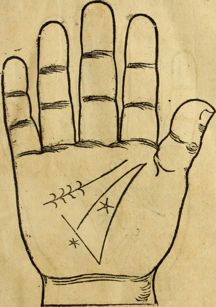 An illustration from Die Kunst der Chiromantzey : vsz Besehung der Hend. Physiognomey / vsz Anblick des Menschens. Natürlichen Astrologey noch dem Lauff der Soñen. Complexion eins yegklichen Menschens. Natürlichen Ynflüssz der Planeten. der zwolff Zeichen Angesychten. Ettliche Canones / zu Erkantnüsz der Menschen Kranckheiten / solicher weisz vormals nye beschriben oder gedruckt. Zusamen verordnet / vnd verteütscht durch ..., 1523, leaf 44