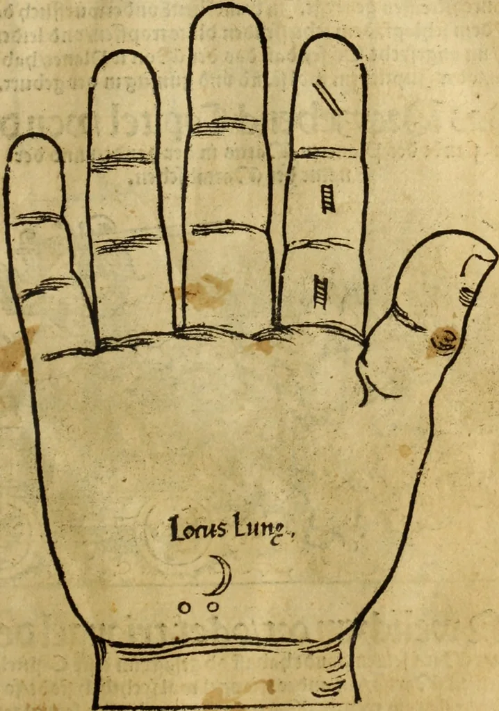 An illustration from Die Kunst der Chiromantzey : vsz Besehung der Hend. Physiognomey / vsz Anblick des Menschens. Natürlichen Astrologey noch dem Lauff der Soñen. Complexion eins yegklichen Menschens. Natürlichen Ynflüssz der Planeten. der zwolff Zeichen Angesychten. Ettliche Canones / zu Erkantnüsz der Menschen Kranckheiten / solicher weisz vormals nye beschriben oder gedruckt. Zusamen verordnet / vnd verteütscht durch ..., 1523, leaf 62