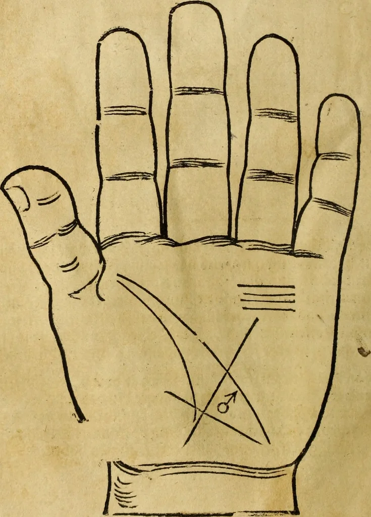 An illustration from Die Kunst der Chiromantzey : vsz Besehung der Hend. Physiognomey / vsz Anblick des Menschens. Natürlichen Astrologey noch dem Lauff der Soñen. Complexion eins yegklichen Menschens. Natürlichen Ynflüssz der Planeten. der zwolff Zeichen Angesychten. Ettliche Canones / zu Erkantnüsz der Menschen Kranckheiten / solicher weisz vormals nye beschriben oder gedruckt. Zusamen verordnet / vnd verteütscht durch ..., 1523, leaf 65