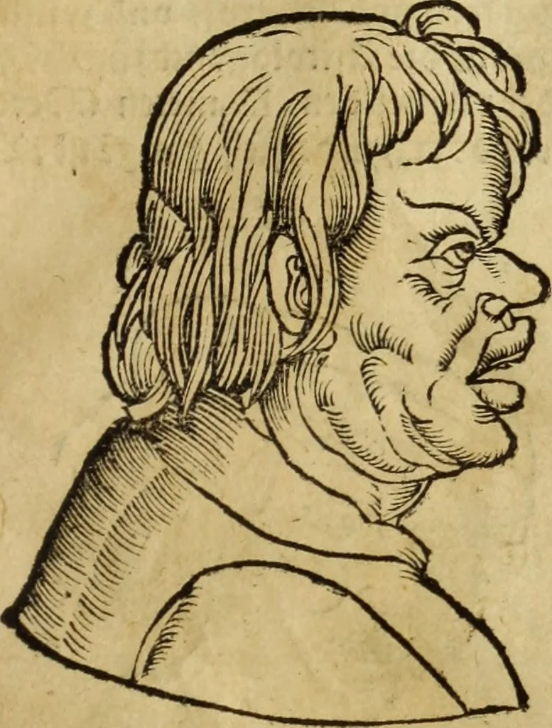 An illustration from Die Kunst der Chiromantzey : vsz Besehung der Hend. Physiognomey / vsz Anblick des Menschens. Natürlichen Astrologey noch dem Lauff der Soñen. Complexion eins yegklichen Menschens. Natürlichen Ynflüssz der Planeten. der zwolff Zeichen Angesychten. Ettliche Canones / zu Erkantnüsz der Menschen Kranckheiten / solicher weisz vormals nye beschriben oder gedruckt. Zusamen verordnet / vnd verteütscht durch ..., 1523, leaf 74