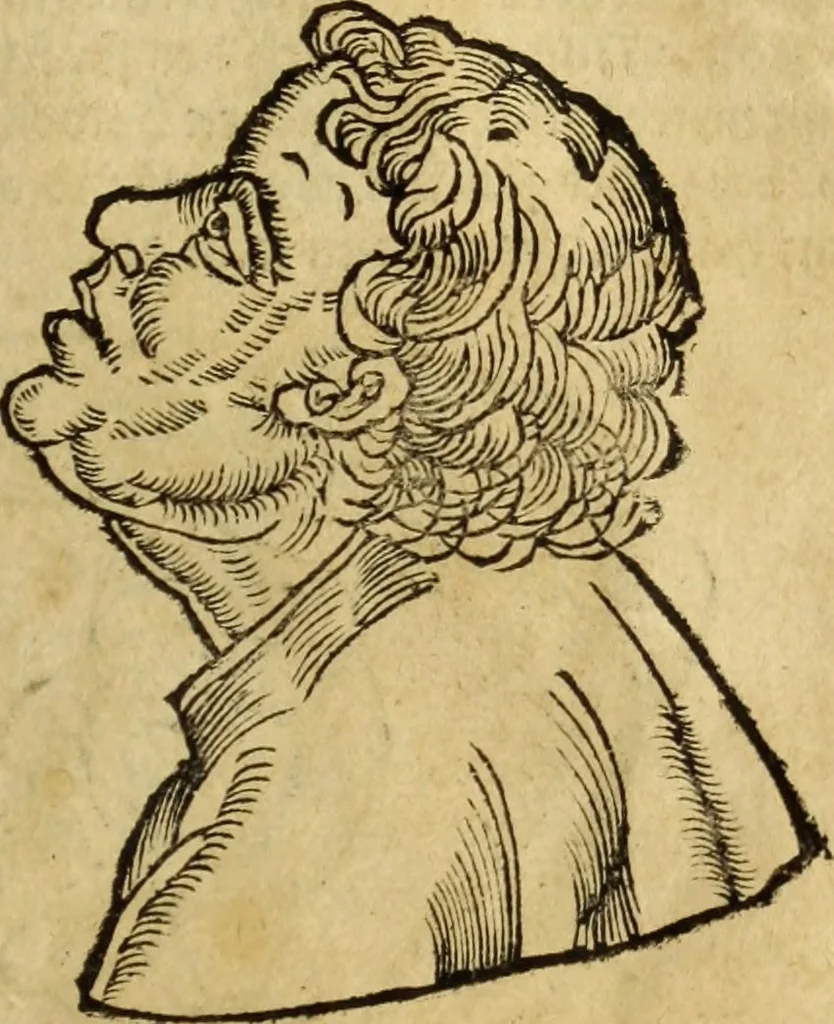 An illustration from Die Kunst der Chiromantzey : vsz Besehung der Hend. Physiognomey / vsz Anblick des Menschens. Natürlichen Astrologey noch dem Lauff der Soñen. Complexion eins yegklichen Menschens. Natürlichen Ynflüssz der Planeten. der zwolff Zeichen Angesychten. Ettliche Canones / zu Erkantnüsz der Menschen Kranckheiten / solicher weisz vormals nye beschriben oder gedruckt. Zusamen verordnet / vnd verteütscht durch ..., 1523, leaf 74