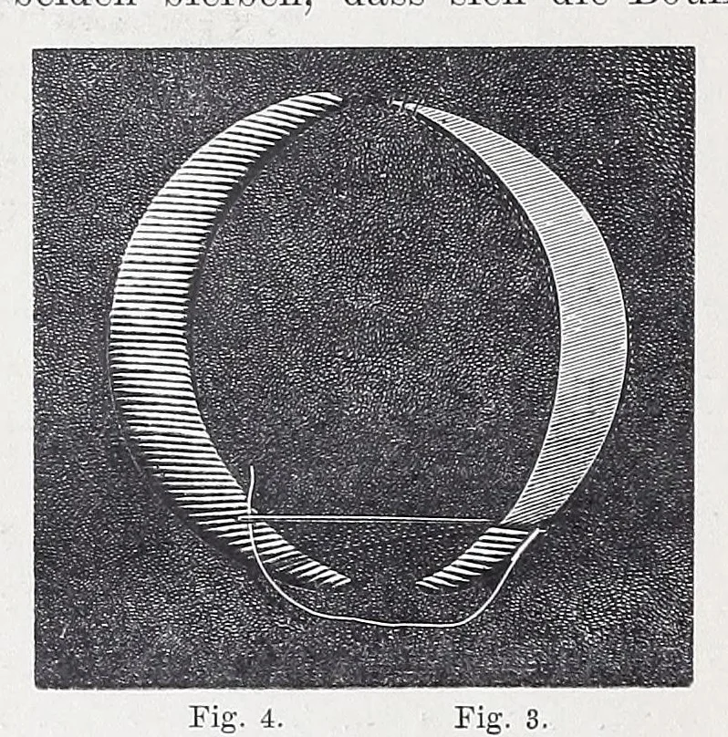 An illustration from Die Kunst der Goldstickerei nebst einer Anleitung zur Verwendung der Goldstickerei in Verbindung mit Application, 1890, leaf 12