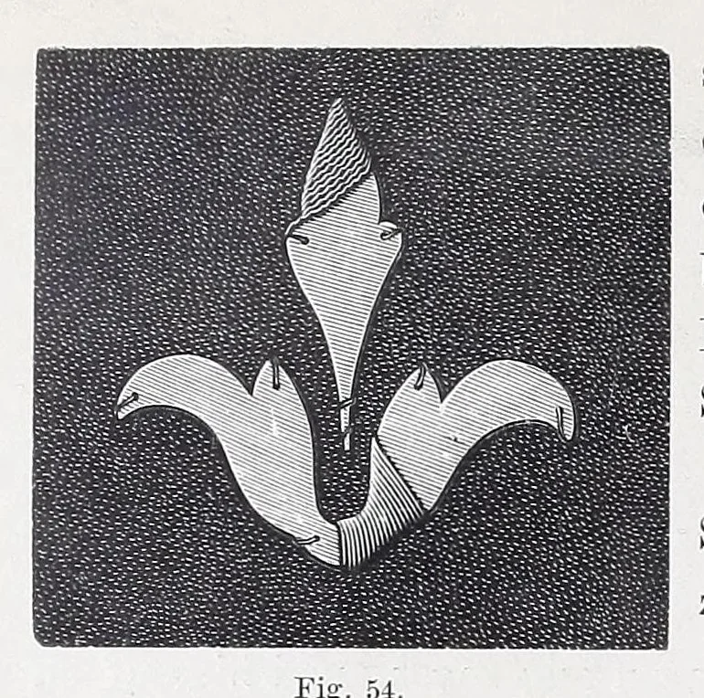 An illustration from Die Kunst der Goldstickerei nebst einer Anleitung zur Verwendung der Goldstickerei in Verbindung mit Application, 1890, leaf 24