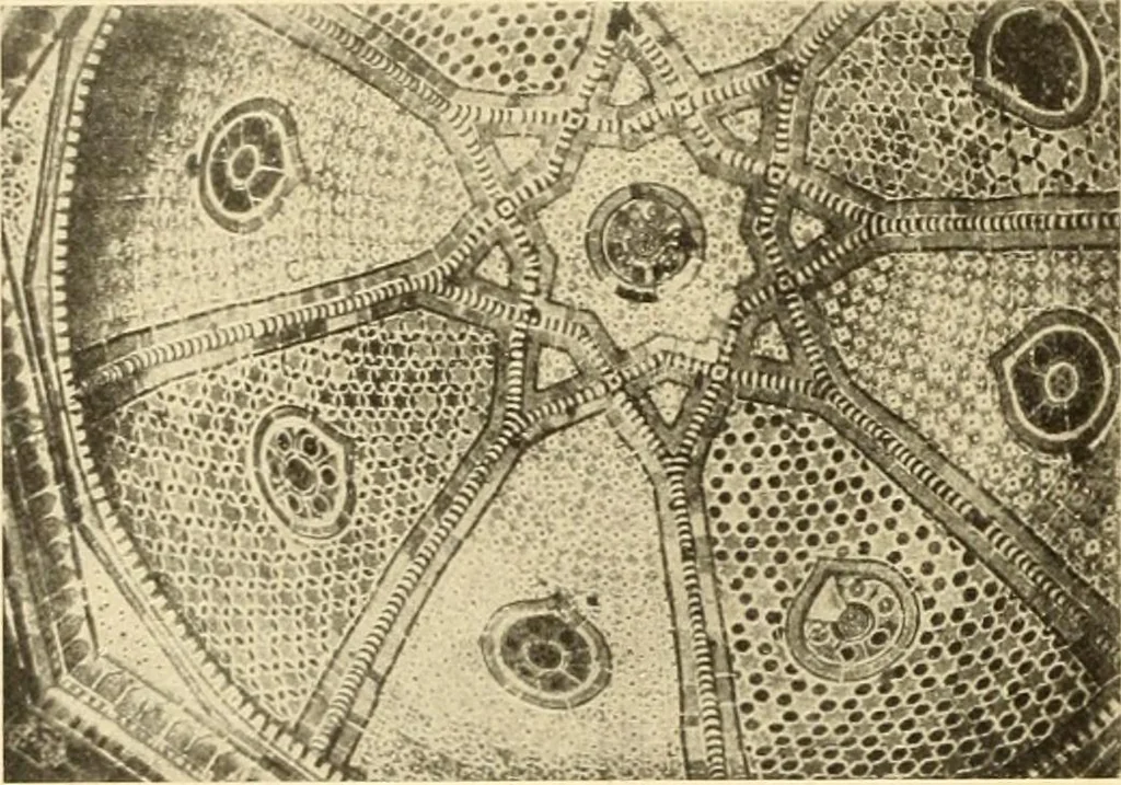 An illustration from Die Kunst der islamischen Volker, 1917, leaf 123