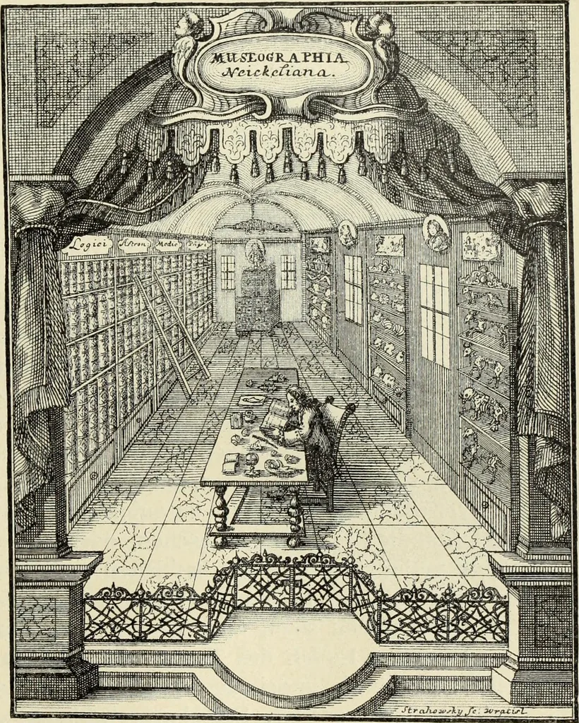 An illustration from Die Kunst- und Wunderkammern der Spätrenaissance : ein Beitrag zur Geschichte des Sammelwessens, 1908, leaf 123
