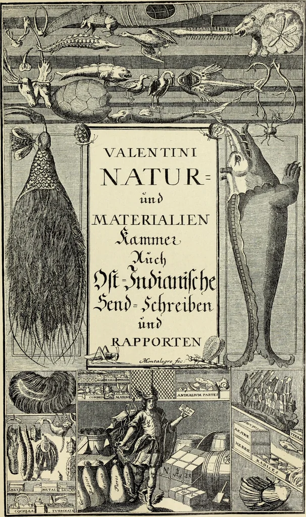 An illustration from Die Kunst- und Wunderkammern der Spätrenaissance : ein Beitrag zur Geschichte des Sammelwessens, 1908, leaf 129