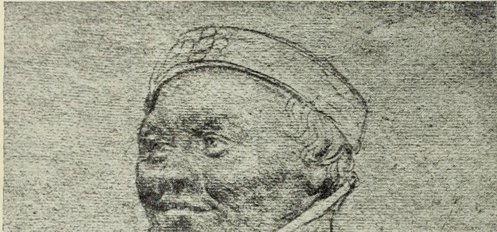 An illustration from Die Kunst- und Wunderkammern der Spätrenaissance : ein Beitrag zur Geschichte des Sammelwessens, 1908, leaf 36