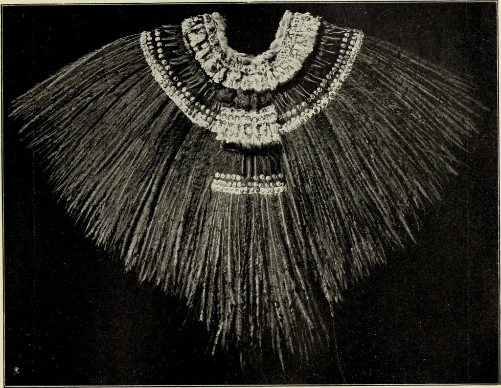 An illustration from Die Kunst- und Wunderkammern der Spätrenaissance : ein Beitrag zur Geschichte des Sammelwessens, 1908, leaf 73