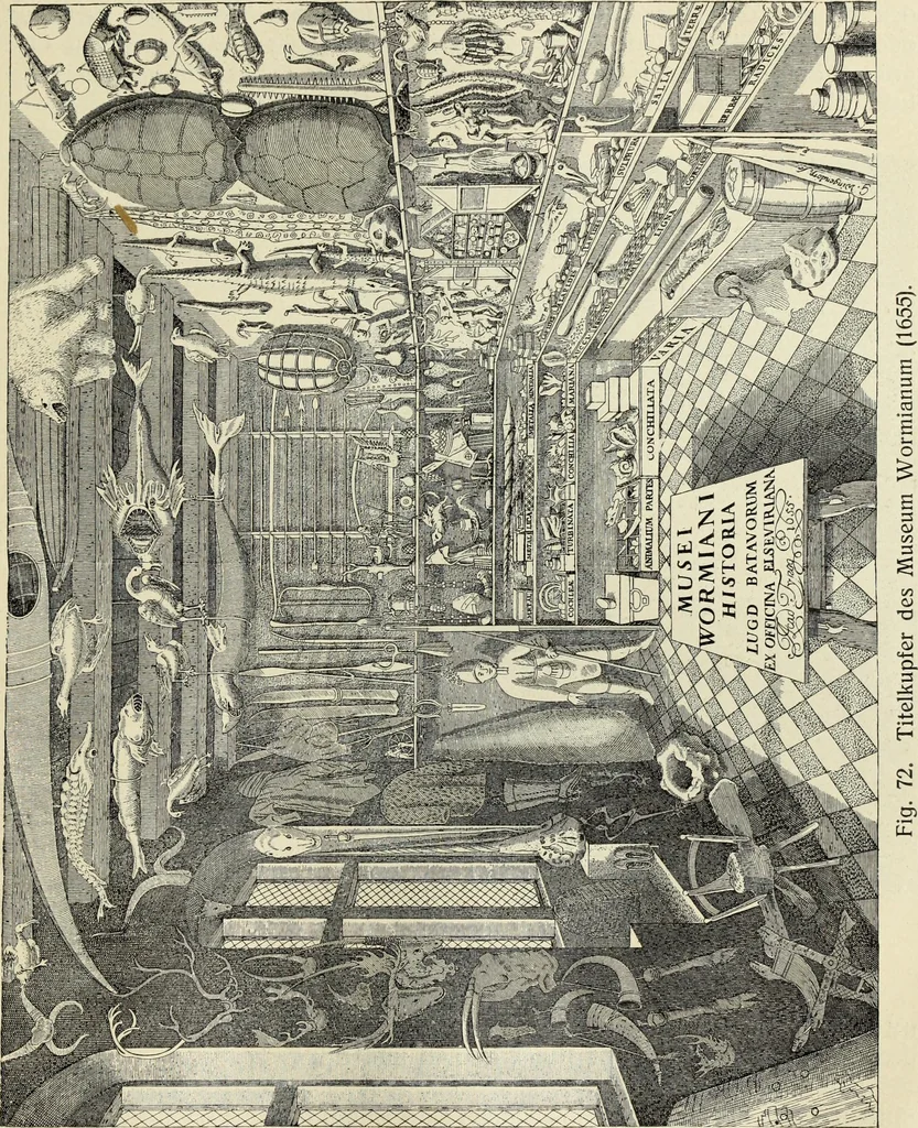 An illustration from Die Kunst- und Wunderkammern der Spätrenaissance : ein Beitrag zur Geschichte des Sammelwessens, 1908, leaf 95