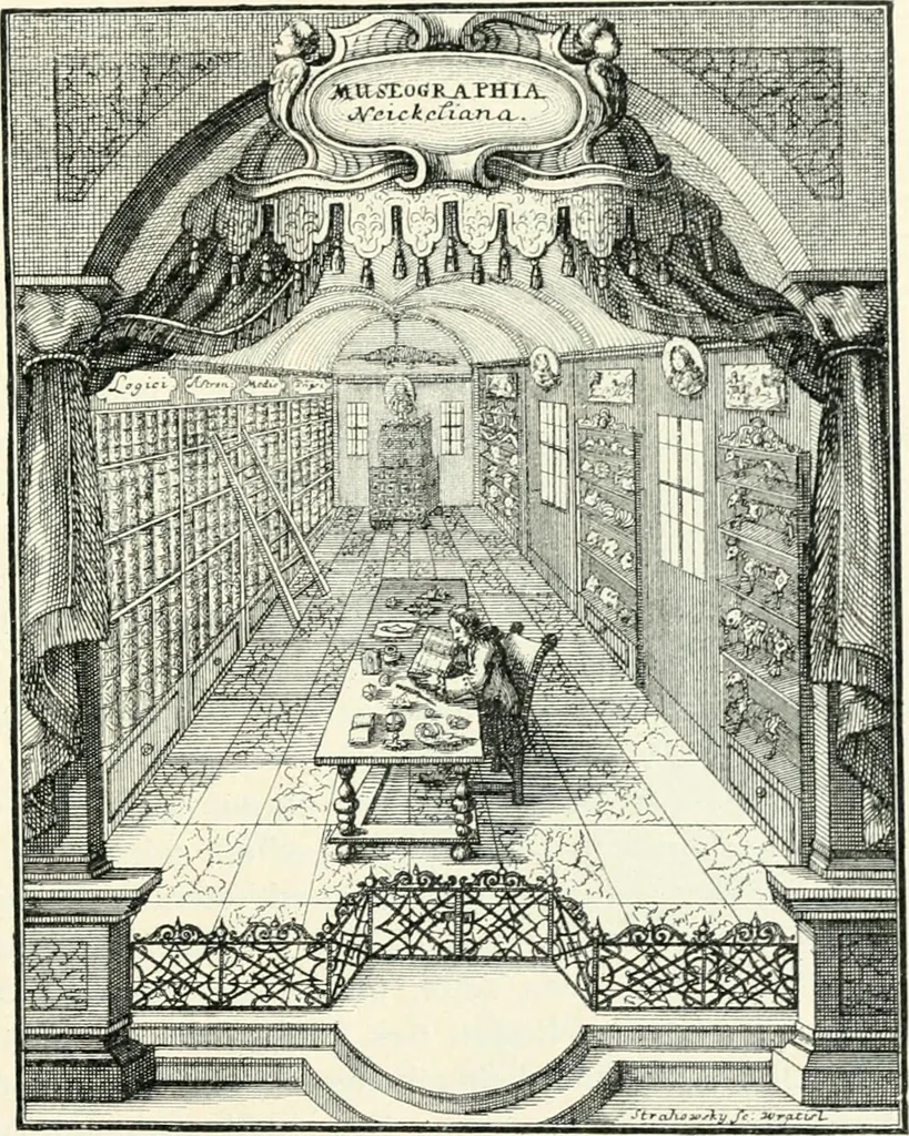 An illustration from Die Kunst- und Wunderkammern der Spätrenaissance : ein Beitrag zur Geschichte des Sammelwesens, 1908, leaf 124