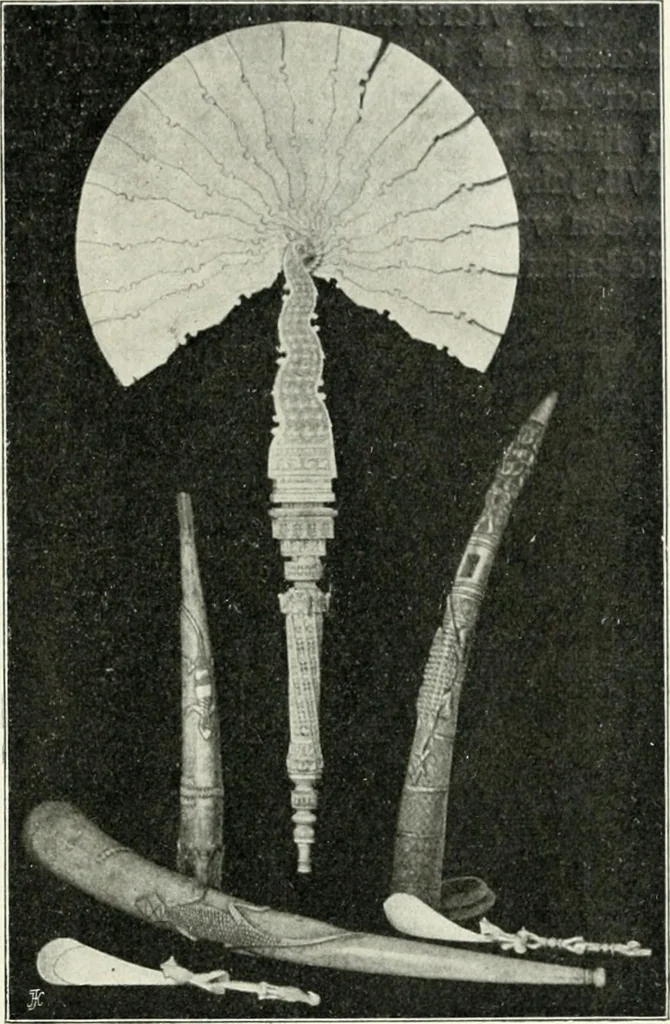 An illustration from Die Kunst- und Wunderkammern der Spätrenaissance : ein Beitrag zur Geschichte des Sammelwesens, 1908, leaf 76
