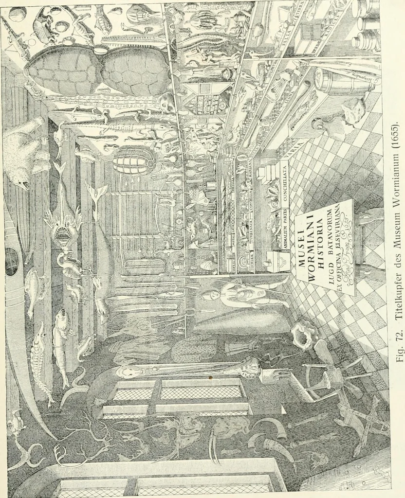 An illustration from Die Kunst- und Wunderkammern der Spätrenaissance : ein Beitrag zur Geschichte des Sammelwesens, 1908, leaf 96