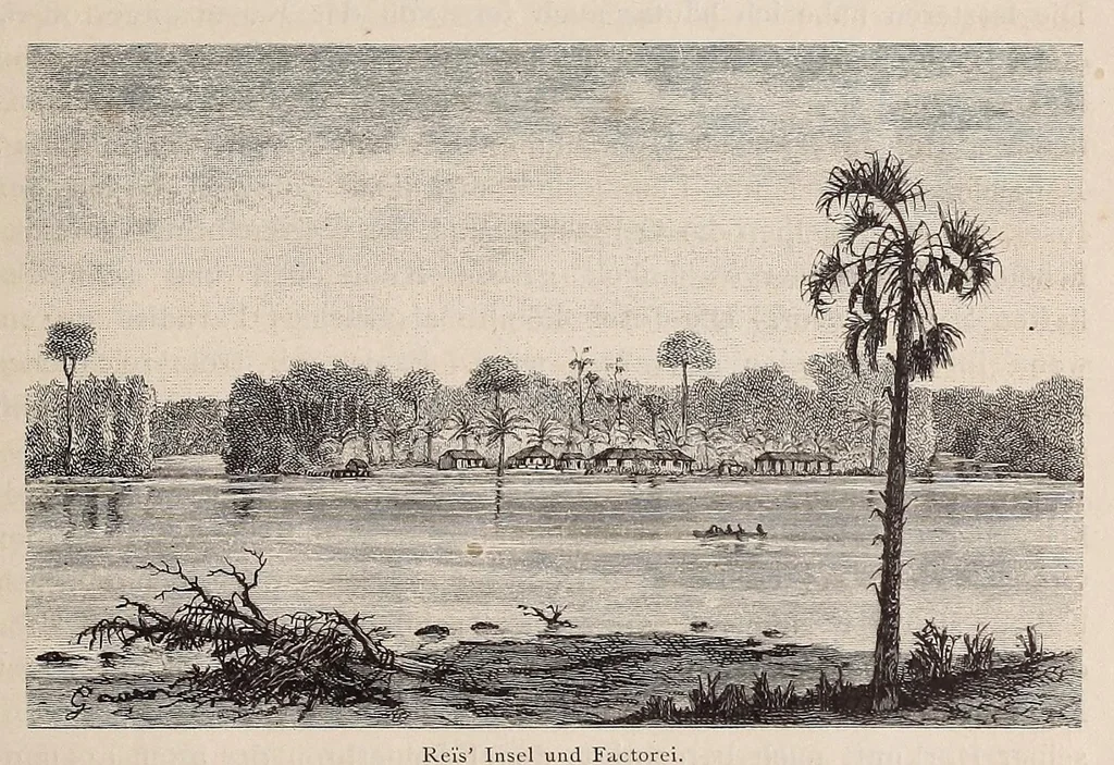 An illustration from Die Loango-Expedition ausgesandt von der Deutschen Gesellschaft zur Erforschung Aequatorial-Africas, 1873-1876. Ein Reisewerk in drei Abtheilungen, 1888, leaf 121