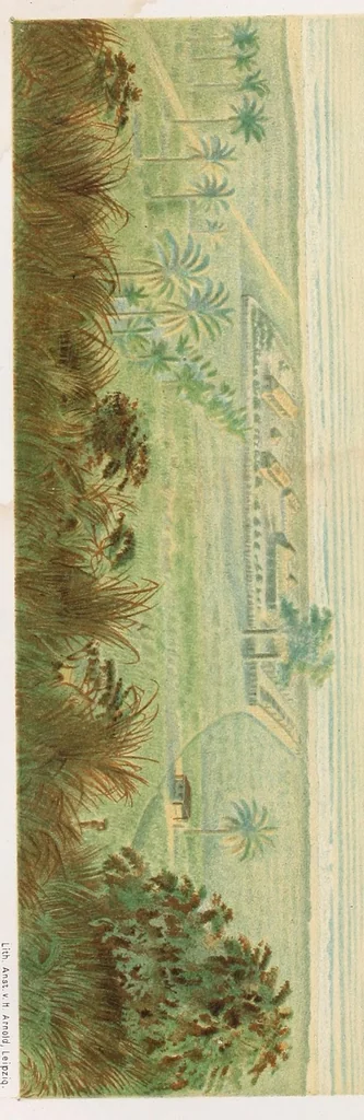 An illustration from Die Loango-Expedition ausgesandt von der Deutschen Gesellschaft zur Erforschung Aequatorial-Africas, 1873-1876. Ein Reisewerk in drei Abtheilungen, 1888, leaf 8