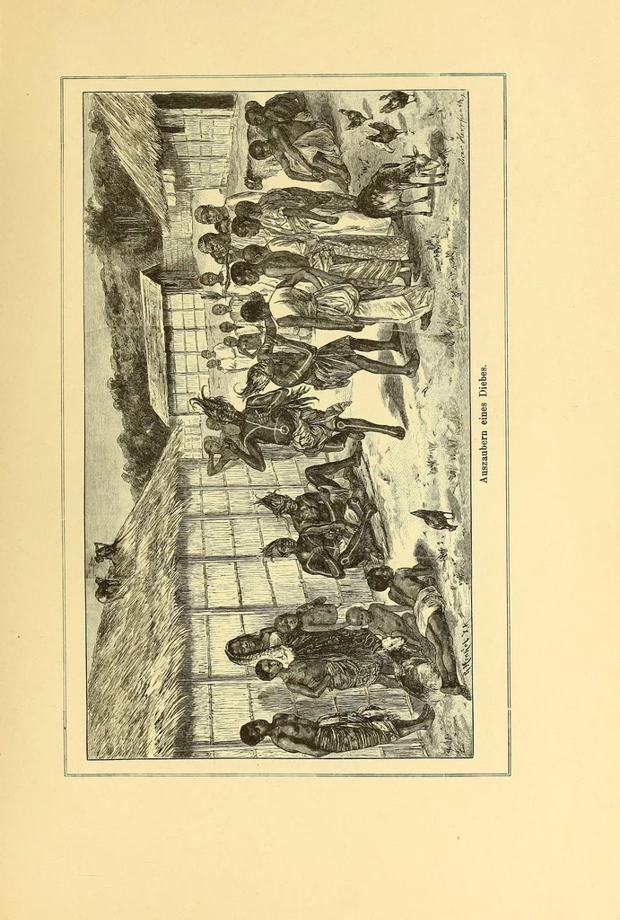 An illustration from Die Loango-Expedition ausgesandt von der Deutschen Gesellschaft zur Erforschung Aequatorial-Africas, 1873-1876 : ein Reisewerk in drei Abtheilungen, 1879, leaf 1247