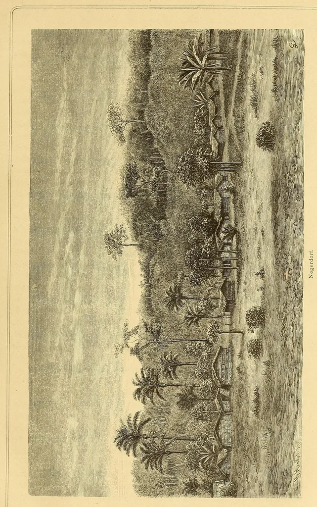 An illustration from Die Loango-Expedition ausgesandt von der Deutschen Gesellschaft zur Erforschung Aequatorial-Africas, 1873-1876 : ein Reisewerk in drei Abtheilungen, 1879, leaf 157