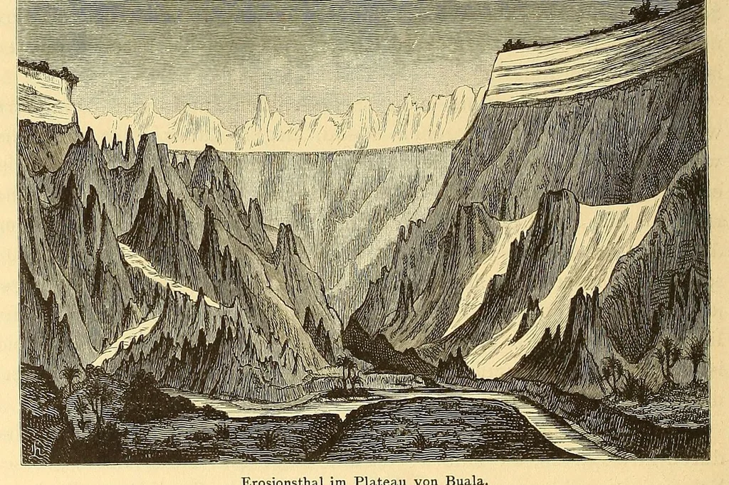 An illustration from Die Loango-Expedition ausgesandt von der Deutschen Gesellschaft zur Erforschung Aequatorial-Africas, 1873-1876 : ein Reisewerk in drei Abtheilungen, 1879, leaf 530