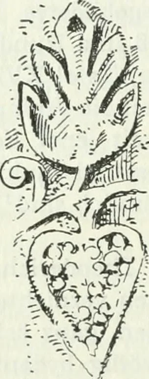 An illustration from Die älteste Kunst, insbesondere di Baukunst, der Germanen, 1909, leaf 184