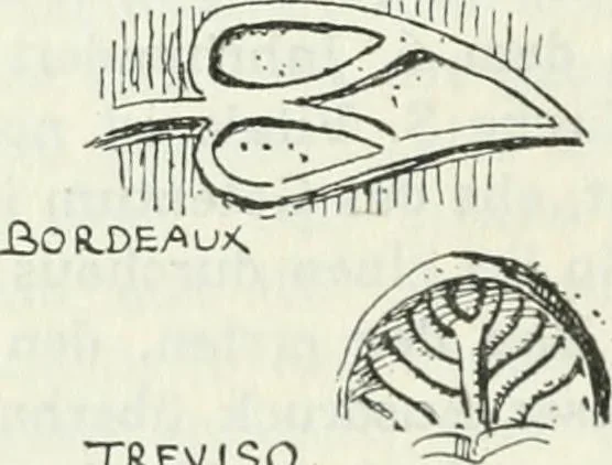 An illustration from Die älteste Kunst, insbesondere di Baukunst, der Germanen, 1909, leaf 184