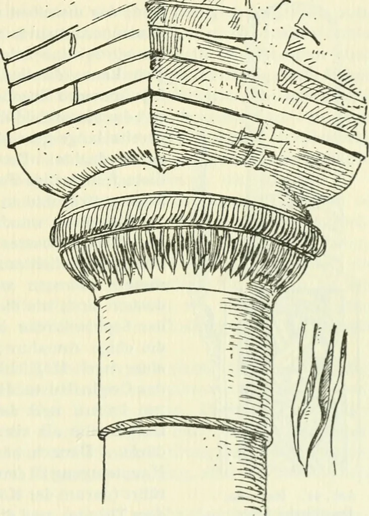 An illustration from Die älteste Kunst, insbesondere di Baukunst, der Germanen, 1909, leaf 209
