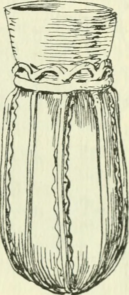 An illustration from Die älteste Kunst, insbesondere di Baukunst, der Germanen, 1909, leaf 51