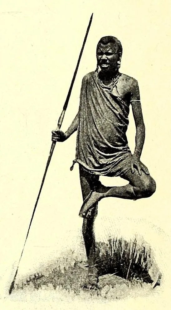 An illustration from Die Masai. Ethnographische Monographie eines ostafrikanischen Semitenvolkes, 1910, leaf 138