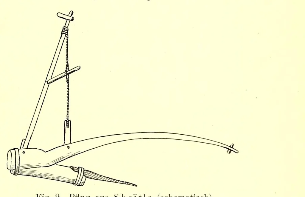 An illustration from Die Mazigh-völker : ethnographische notizen aus Süd-Tunesien, 1914, leaf 43