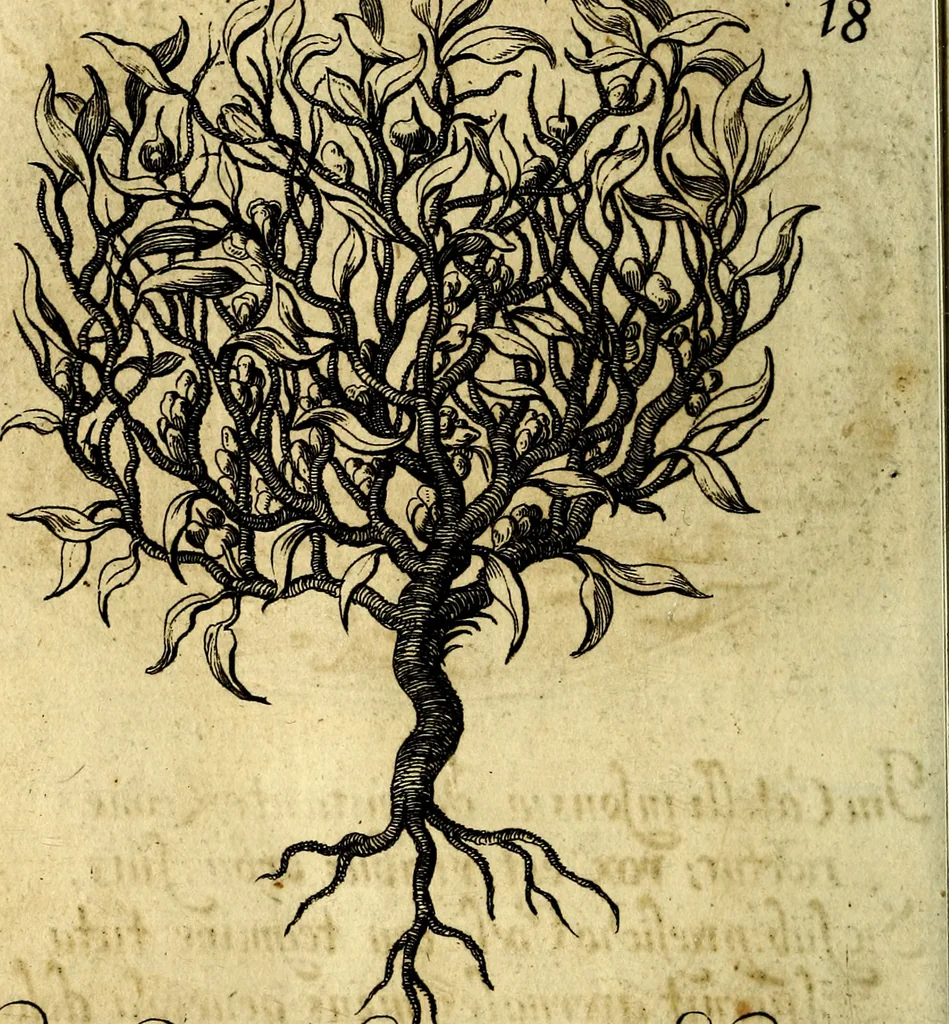 An illustration from Die mit teutschen Saiten überzogene, heilige Kron-Harffe, oder, Verfassung des gantzen Psalter Davids in teutsche Reim-Gebände : vermittelst sonderbarer darzu mit dem basso continuo, neu-verfertigter Kunst-Melodeyen ..., 1680, leaf 111