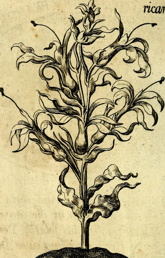 An illustration from Die mit teutschen Saiten überzogene, heilige Kron-Harffe, oder, Verfassung des gantzen Psalter Davids in teutsche Reim-Gebände : vermittelst sonderbarer darzu mit dem basso continuo, neu-verfertigter Kunst-Melodeyen ..., 1680, leaf 143