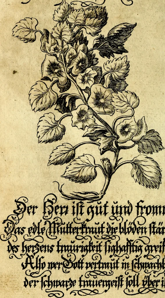An illustration from Die mit teutschen Saiten überzogene, heilige Kron-Harffe, oder, Verfassung des gantzen Psalter Davids in teutsche Reim-Gebände : vermittelst sonderbarer darzu mit dem basso continuo, neu-verfertigter Kunst-Melodeyen ..., 1680, leaf 153