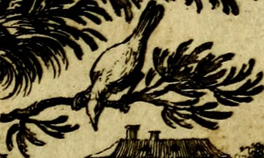 An illustration from Die mit teutschen Saiten überzogene, heilige Kron-Harffe, oder, Verfassung des gantzen Psalter Davids in teutsche Reim-Gebände : vermittelst sonderbarer darzu mit dem basso continuo, neu-verfertigter Kunst-Melodeyen ..., 1680, leaf 164
