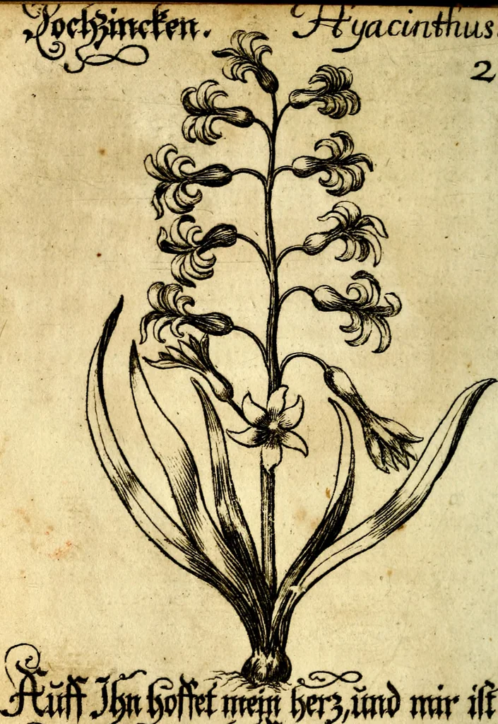 An illustration from Die mit teutschen Saiten überzogene, heilige Kron-Harffe, oder, Verfassung des gantzen Psalter Davids in teutsche Reim-Gebände : vermittelst sonderbarer darzu mit dem basso continuo, neu-verfertigter Kunst-Melodeyen ..., 1680, leaf 171