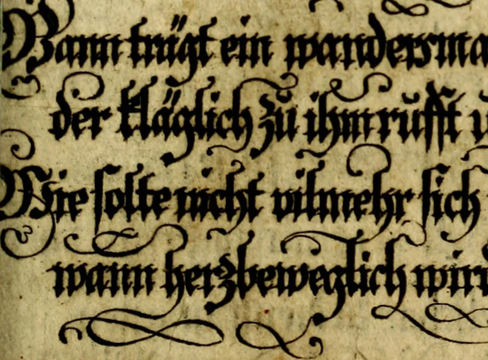 An illustration from Die mit teutschen Saiten überzogene, heilige Kron-Harffe, oder, Verfassung des gantzen Psalter Davids in teutsche Reim-Gebände : vermittelst sonderbarer darzu mit dem basso continuo, neu-verfertigter Kunst-Melodeyen ..., 1680, leaf 206